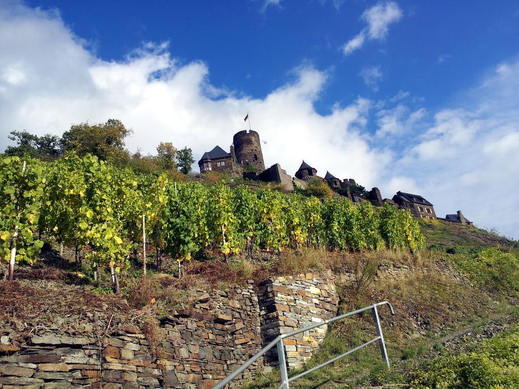 Winzerhof Brachtendorf Alken Luaran gambar