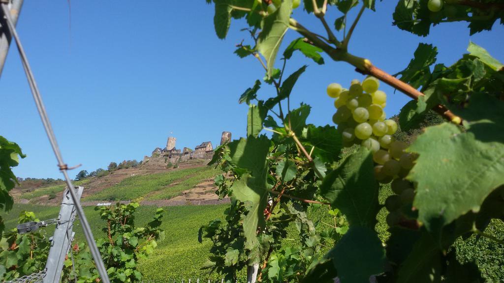 Winzerhof Brachtendorf Alken Luaran gambar